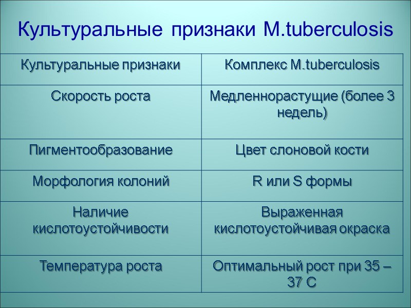 Культуральные признаки M.tuberculosis